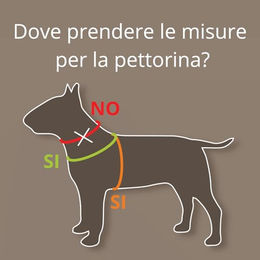 Coralpina Powermix Hundegeschirr für kleine bis mittelgroße Hunde Rosa Melange Größe 2 – Bild 1 von 2