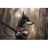 Produktbild von Coralpina Powermix Hundegeschirr für kleine bis mittelgroße Hunde Rosa Melange Größe 8