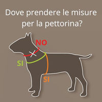 Produktbild von Coralpina Powermix Hundegeschirr für kleine und mittelgroße Hunde in Rot Melange Größe 5