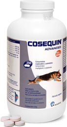 Produktbild von Cosequin Advance Gelenk-Supplement für Hunde mit 250 Tabletten - 250 Tbl.