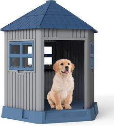 COSTWAY Hundehütte und Katzenhaus aus Kunststoff mit 2 Fenstern wasserdicht – Bild 1 von 5