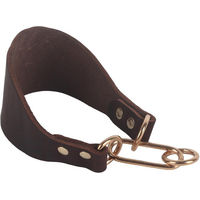 Produktbild von CosyHome Hundehalsband aus Kunstleder für kleine Hunde und Greyhounds in Braun