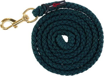 Produktbild von Covalliero Classy Antipanik Longe Reiten Karabinerhaken aus Edelstahl in Grün