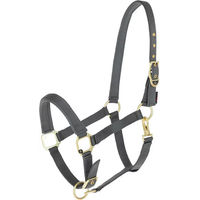 Produktbild von Covalliero Classy Pferdehalfter aus Nylon in Grau oder Schwarz für Warmblut