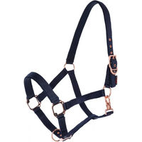Produktbild von Covalliero Classy Shetty Halfter für Pferde in Blau