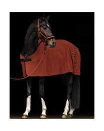 Covalliero Fleece Decke Braun 155 cm – Bild 1 von 2