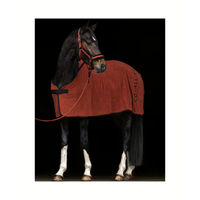 Produktbild von Covalliero Fleece Decke Braun 155 cm