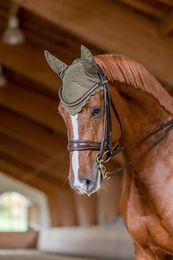 Covalliero Fliegenhaube Duavita für Ponys in Avocado Grün – Bild 1 von 3