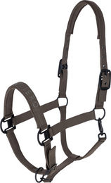 Covalliero Halfter – Bild 1 von 1