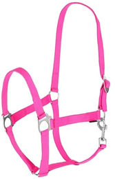 Covalliero Halfter für Shetty in Pink aus Nylon – Bild 1 von 3