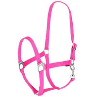 Produktbild von Covalliero Halfter für Shetty in Pink aus Nylon