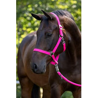Produktbild von Covalliero Halfter Hippo Pink für Fohlen