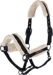 Covalliero Halfter Soft HW 2026 für Warmblut in Grün aus Polyester – Bild 1 von 1