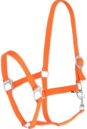 Covalliero Hippo Nylonhalfter für Vollblut Pferde in Orange – Bild 1 von 1
