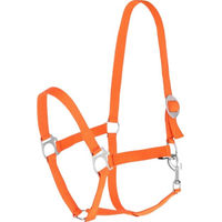 Produktbild von Covalliero Hippo Nylonhalfter für Vollblut Pferde in Orange