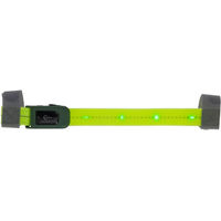 Produktbild von Covalliero LED-Frontleuchte in Grün