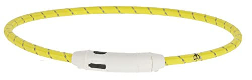 Covalliero LED Hundehalsband für erwachsene Hunde wasserdicht und wiederaufladbar Gelb – Bild 1 von 3