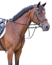 Covalliero Martingal aus Leder für Warmblut Pferde in Schwarz – Bild 1 von 3