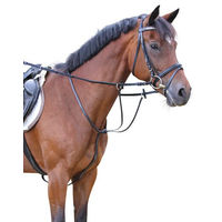 Produktbild von Covalliero Martingal aus Leder für Warmblut Pferde in Schwarz