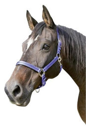 Covalliero Pferd Halfter Mustang aus Nylon Blau Schwarz – Bild 1 von 5