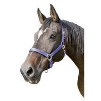 Produktbild von Covalliero Pferd Halfter Mustang aus Nylon Blau Schwarz