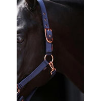 Produktbild von Covalliero Pferdehalfter Classy Navy mit Roségold Größe Pony