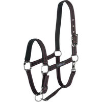 Produktbild von Covalliero Royal Pferd Halfter Schwarz XFull