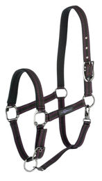 Covalliero Royal Pony Pferdehalfter aus Biothane Schwarz/Fuchsia – Bild 1 von 4