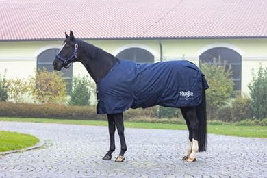 Covalliero RugBe IceProtect Winterdecke für Pferde Blau 125 cm – Bild 1 von 13