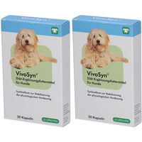 Produktbild von cp-pharma VivoSyn Probiotika Kapseln für die Magen-Darm-Gesundheit 16,2 g
