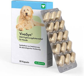 Produktbild von CP-Pharma VivoSyn Probiotika zur Unterstützung der Magen-Darm-Verdauung für Hunde
