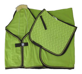 Produktbild von Cravallino Polartec Fleece-Abschwitzdecke Farbe Cactus Grün