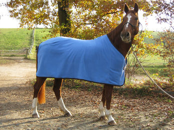 Produktbild von Cravallino Polartec Fleece-Abschwitzdecke Farbe Solitude-Kaffee 135 cm