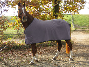 Produktbild von Cravallino Polartec Fleece-Abschwitzdecke in Nightfall Blau