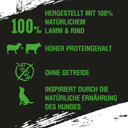 Crave Hundefutter Adult Lamm und Rind Getreidefrei 6x400g Dose – Bild 1 von 6