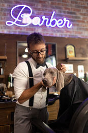 Croci Barbershop Bürste für Hunde und Katzen aus Edelstahl für alle Felltypen - 1 Stk. – Bild 1 von 5