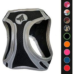 Croci Hiking Geschirr Reflective aus Nylon für Hunde in Schwarz Grau Größe M – Bild 1 von 8