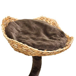 Croci Natural Magnolia Kratzbaum für erwachsene Katzen aus Naturmaterial in Braun 45x45x99 cm – Bild 1 von 7