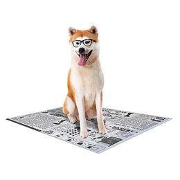 Croci Super Nappy Newspaper Einweg-Welpenunterlagen für Hunde 30 Stück 57x54 cm - 30 x 57 cm – Bild 1 von 4