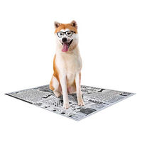 Produktbild von Croci Super Nappy Newspaper Einweg-Welpenunterlagen für Hunde 30 Stück 57x54 cm - 30 x 57 cm