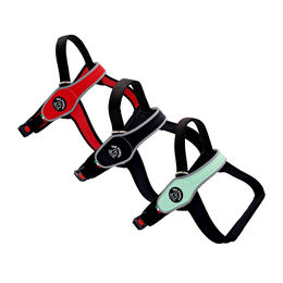 Croci Tre Ponti Primo Reflexion Hundegeschirr Mint Größe L – Bild 1 von 3