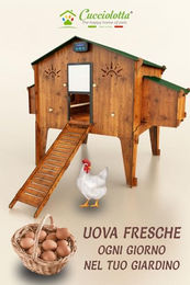 Cucciolotta Polly Duplex 4XL Hühnerstall für bis zu 20 Hühner mit 4 Nestern und 4 Sitzstangen in Wood Color – Bild 1 von 3
