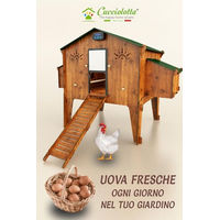 Produktbild von Cucciolotta Polly Duplex 4XL Hühnerstall für bis zu 20 Hühner mit 4 Nestern und 4 Sitzstangen in Wood Color