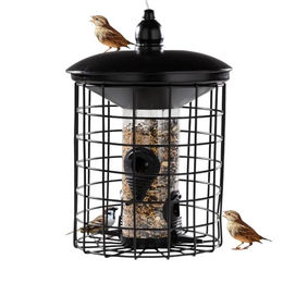 Cult a Home Vogel Futtersäule mit Schutzkäfig aus Metall Schwarz 29 cm – Bild 1 von 8