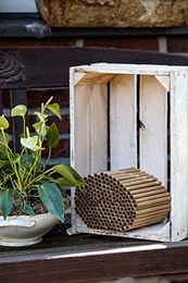 CULT at home Nisthülse aus Pappe für Wildbienen Insektenhotel Ersatzmaterial 600 Stück Ø 6 mm Länge 15 cm Braun – Bild 1 von 5