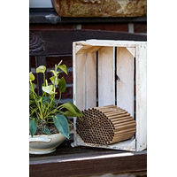 Produktbild von CULT at home Nisthülse aus Pappe für Wildbienen Insektenhotel Ersatzmaterial 600 Stück Ø 6 mm Länge 15 cm Braun