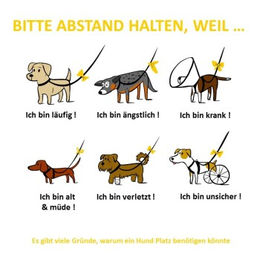 Produktbild von Curli Anhänger Yellow Dog Gelb