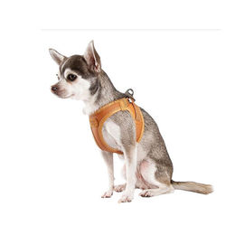 Curli Apple Leather Hundegeschirr Vegan aus Kunstleder Schwarz XS – Bild 1 von 2