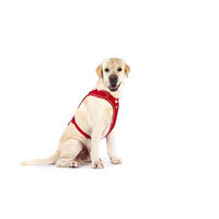 Produktbild von Curli Belka Basic Hundegeschirr Y-Geschirr aus Polyester Schwarz Größe XL