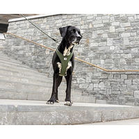 Produktbild von Curli Belka Comfort Air-Mesh Hundegeschirr Schwarz 4XL